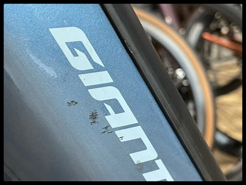 Gaint AnyTour E+ 1 LDS 25km/h Medium Blue Ashes 2021-10